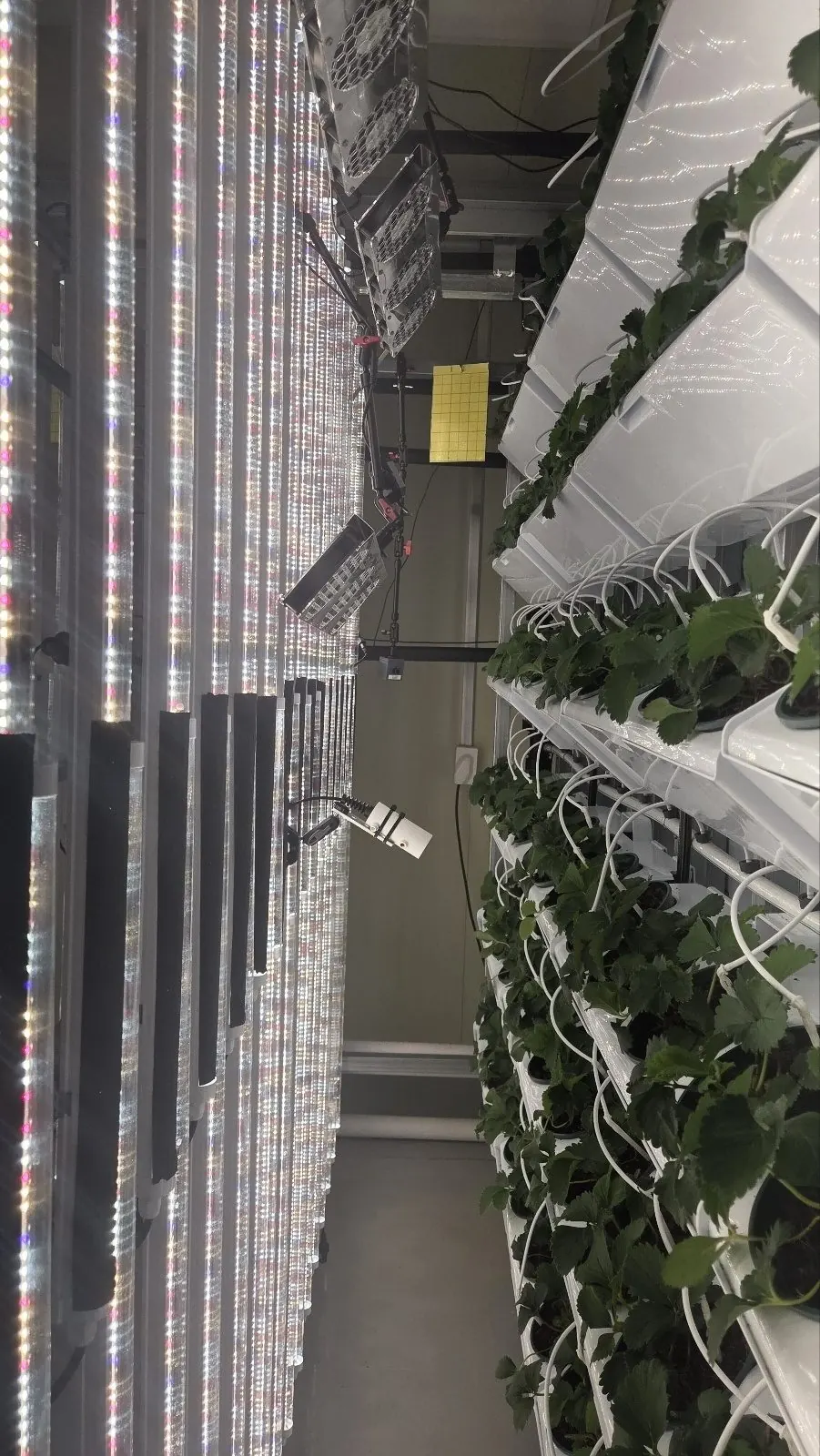 Vertical farming research lab — Naju